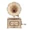 EWA™ Eco-Wood-Art Gramophone 3D Wooden STEM Construction Kit